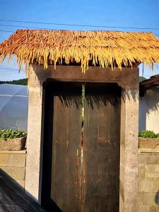 หลังการผ่าตัดคลาสหญ้าเทียม สำหรับการตกแต่งหลังคลาสหญ้าเทียม กลางแจ้ง หลังคลาสหญ้าเทียม ม้วนหญ้าเทียมพลาสติก ไม่หน่วงไฟ ขนาด 100 x 50 คม