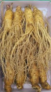 gingseng merah asli korea original