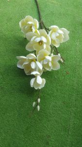 HOA MỘC LAN GIẢ .HOA MỘC LAN XỐP .BÔNG LỚN .HÀNG LOẠI 1