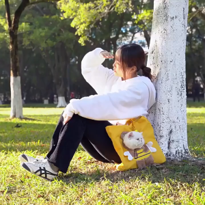 Pet Bag With Head Hole Cat Sling Carrier