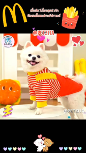 🇹🇭พร้อมส่ง🇹🇭 🔥 XS-4XL 💥 เสื้อสัตว์เลี้ยง ดีเทลติดลายตุ๊กตาน่ารัก for pet สุนัข หมา แมว