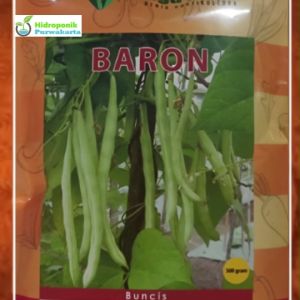 Benih Buncis BARON 500 gram: Panduan Lengkap untuk Pemula