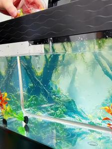 SHUITIANYIFANG | Filtering Oxygenator Self-circulating Small Ecosystem Aquarium