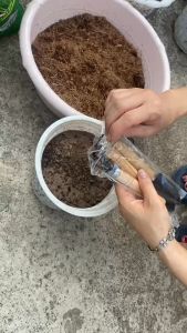 3 món tiện dụng làm vườn size to - dễ dùng Trồng hoa Cây cảnh Rau củ quả sạch-Tổng kho hạt giống giá rẻ