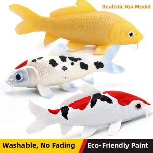 Realistic Educational Model Set