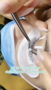 Mi cỏ ba lá - mi khay cỏ 3 lá dày 0.07 cong C_D_Hot trend_MI 3 LÁ_Mi 3D_dụng cụ nối mi bình dương