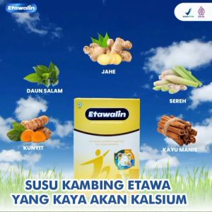 Susu Etawalin Paket 2 Box: Solusi Alami Untuk Nyeri Tulang & Asam Urat