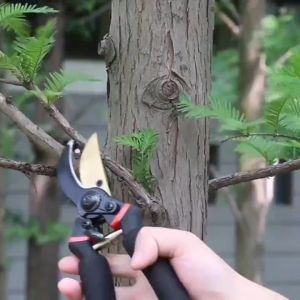 ToolHub Gunting Kebun Gunting Dahan PVC Gunting Ketebalan 2.5mm Pruning Shears Alat Potong Dahan Gunting Tanaman Arit Rumput Gunting