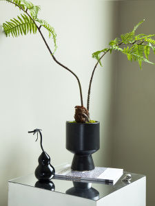New Chinese French Black High-legged Ceramic Pot Artificial Gold Monkey Fern Green Plant Bonsai High-end Entrance Ornament