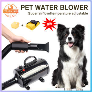 Pet New Land Pet Hair Dryer 2800w Dog Cat Low noise Warm Wind Fast Blow-dryer pet grooming supplies