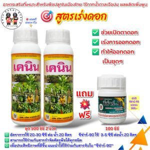 [2 แถม 1] ตราเงาะคู่ เคนิน สาหร่ายทะเล ฮอร์โมนเร่งดอก เปิดตาดอก กระตุ้นออกดอก