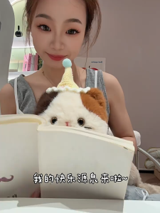 ตุ๊กตาแมวลายสามสีน่ารัก เหมาะสำหรับตกแต่งโต๊ะทำงาน เหมาะเป็นของขวัญวันเกิดหรือของขวัญก่อนนอนสำหรับเพื่อนสาว