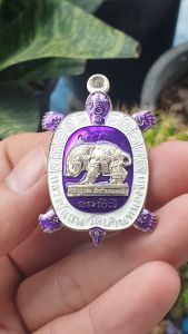 เสริมอารมณ์ความสวยงาม: เต่าหมูพลิกแผ่นดิน เต่าหมูรวยทางเดียว 168 หลวงปู่แสน ปสันโน วัดบ้านหนองจิก ปี2562