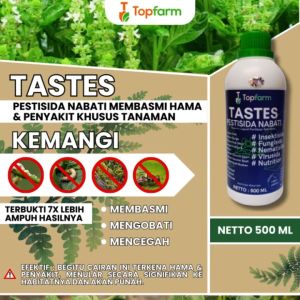 Obat Hama Kemangi / Obat Penyubur Daun Kemangi / Obat Pelebar Daun Kemangi / Obat Daun Kemangi / Obat Pelebat Daun Kemangi / Obat Khusus  Kemangi