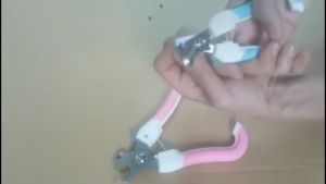 Gunting Kuku Profesional Untuk Anjing, Kucing, Kelinci, Marmut, dan Musang