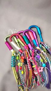 LIXADA Gantungan Carabiner Aluminium Quickdraw Karabiner - Octopus family