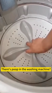 🇸🇬 SELLER STOCK - seaways washing machine cleaner 99% efficient sterilization oxygen active cleaning and maintenance