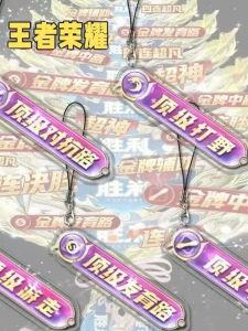 Acrylic Keychain Honor of Kings Game Wild Area Middle Road Roaming Backpack Decoration Beautiful Gift Keychain Toy