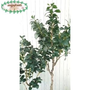 Pohon Imitasi Kacang T130 & T170 Pot Dasar Hitam Cover Purun Belly Dekorasi Rumah Hiasan Ruangan