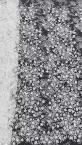 2026 African Lace Fabric Nigerian Laces Fabric High Quality Embroidered Net Fabric Mesh Lace French Sequin