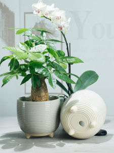 Simple Large Size Ceramic Flower Pot for Living Room Orchid Plant Breathable Drainage Hole Home Decor Potted Plant Container