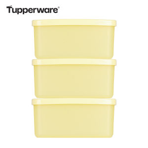 Tupperware | Portable Food Storage Box 400ml