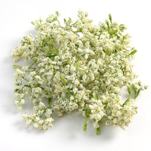 10/20Pcs Artificial Flower Simulation Plant Furniture Living Room Dining Table Decoration Wedding Party Birthday Party Decor DIY