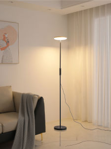 Ultra Bright Floor Lamp For Home Lighting