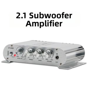 BONINGYU | 12V Car and Home Bass Amplifier