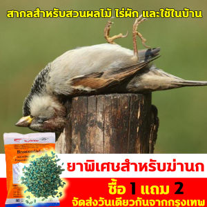 มาแรง กำจัดนก🔥เหยื่อกำจัดนกพิราบ 30ซอง ขนาด 1500กรัม ยาฆ่านกพิราบ ทำลายอวัยวะภายในตายใน 1ชม. ยาเบื่อนก พิราบ แห้งเร็วและไม่มีกลิ่น กินง่ายตายไว ชนิดไม่ต้องผสมอาหาร ยาเบื่อนก เห็นผลชัวร์ 100% เหยื่อกำจัดนก ไล่นกพิราบถาวร ยาไล่นกพิราบ ไม่มีนกรบกวน