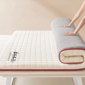 Suxuan | Cotton Bed Sheet Single Soft Pad