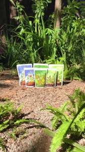 ปุ๋ยอินทรีย์ NPK สูตรสำหรับ ผักใบเขียว สมุนไพร ไม้ดอก พืชผักสวนครัว ออร์แกนิค ขนาด 500 กรัม 1 กิโล [Organic NPK]