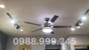 Quạt trần 5 cánh inox vàngquạt trần đèn led động cơ DC điều khiển từ xa trang trí phòng kháchkhách sạnchung cư...