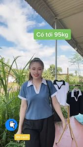 Áo Thun Cổ Bẻ Bigsize Áo thun polo bigsize cổ bẻ mặc đi làm đi chơi đều đẹp A41