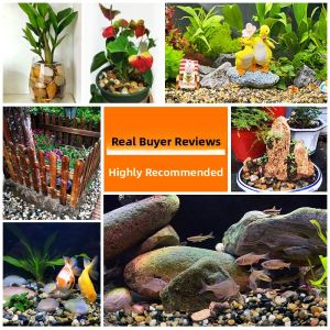 MONLEYTA | Aquarium Decorative Stones for Water Plants and Turtles