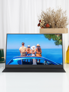 Portable Porpoise Computer Monitor Screen Split Screen Gaming Phone Display 11 14 15.6 17.3 18 Inch IPS Panel HDMI Type-C Interface