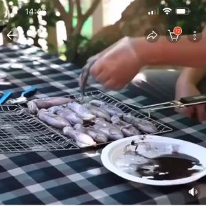 BBQ Stainless steel folding barbecue rack suitable for grilling fish and vegetables detachable portable barbecue grill.