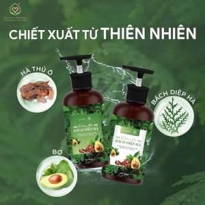 Bộ dầu gội xả bách diệp hà dành cho tóc gãy rụng giàu khô sơ