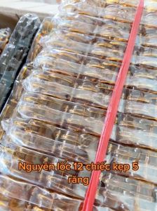Lố 12 chiếc kẹp càng cua 5 răng - loại đẹp không gãy.vantranggshop.