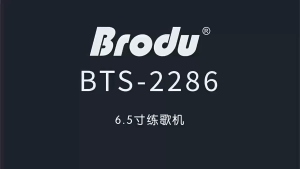 BTS-2286 3000mAh Bluetooth speaker with cool light portable and suitable for outdoor square dancing