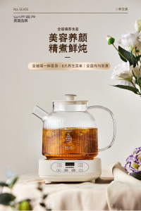 WE 4093 = 多功能养生壶+过滤网 Multifunctional Health Pot + Filter ☞ 1000ml