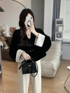 New Chinese Style Short Velvet Jacket Hand Brushed Fragrance Patchwork Embroidery Retro Design Commute Long Sleeve Womens Top