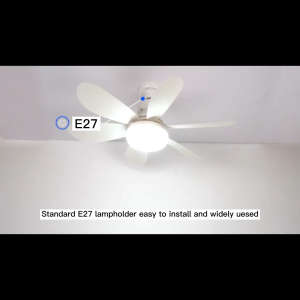Hunta 30W/40W LED Ceiling Fan Light E27 Silent Fan Light Removable With Timing Function Ceiling Fan Light