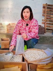 Hạt Sen Đỏ Sấy Khô Bỏ Lõi Không Sử Dụng Lưu Huỳnh