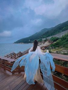 Original Embroidery Ancient Style Petal Sleeve Dance Costume Hanfu Womens Medium Elasticity Four Seasons Universal Costume