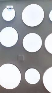 LED Ceiling Light Modern White Light/Tricolor Dimming Lampu LED Indoor Panel Light Balcony Light Corridor Lighting Ceiling Lamp Lampu siling LED Lampu putih moden/Tricolor Dimming Lampu LED Panel dalaman cahaya balkoni Lampu koridor Lampu Lampu siling