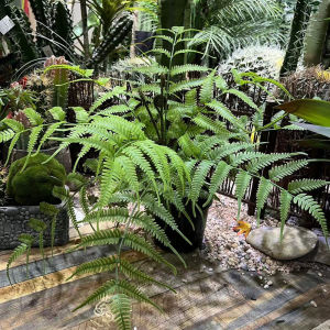 Large Size Artificial Ferns & Tropical Rainforest Plants: A Guide to High-Simulation Greenery