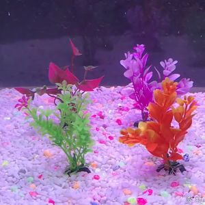 Mô Hình Decor Thủy Sinh Mẫu E Cây Thủy Sinh Nhỏ Gọn Trang Trí Bể Cá Decor Không Gian Thủy Sinh