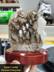 Natural Brazil Collection Skeletal Alligator Smoky Quartz Crystal Ornament SK04