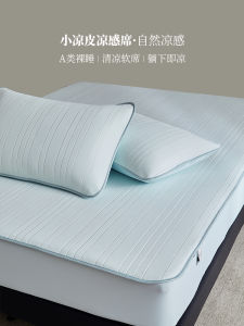 2025 New Small Ice Skin 5th Generation Washable Cool Mat Q Elastic Air Conditioned Soft Matress Cover a Class Naked Sleep Summer Bedding